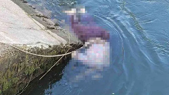 SULAMA KANALINDA KADIN CESEDİ BULUNDU