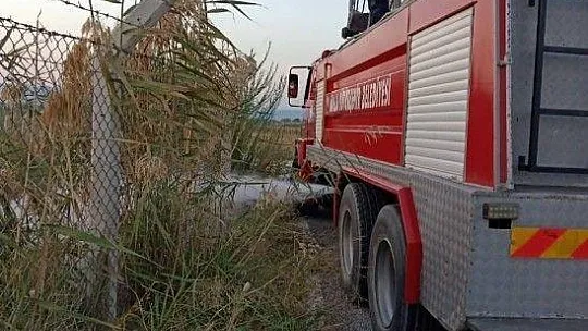 Sulama kanalından balık kurtarma operasyonu