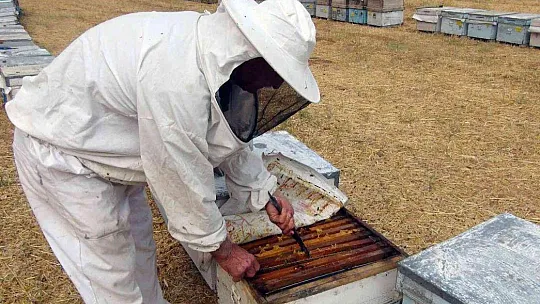 TAB Başkanı Şahin 'Bal ormanı alanları genişletilmeli'