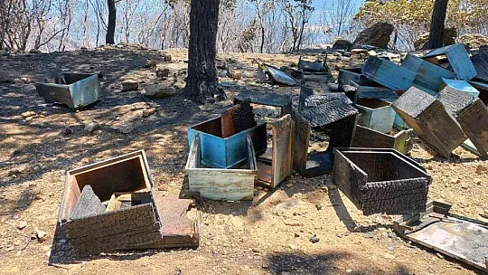 TAB Başkanı Ziya Şahin, Orman Bakanı Kirişçi ile görüştü