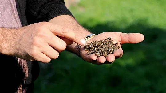 TAB Genel Başkanı Şahin 'Arılarımız ölmesin'