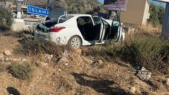 Tabelaya çarpıp ormanlık alana kaçtılar