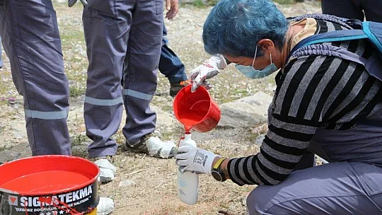 Tarihi yolda işaretleme çalışmaları
