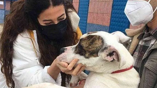 Tatlıtuğ çiftinden Bodrum'da anlamlı destek