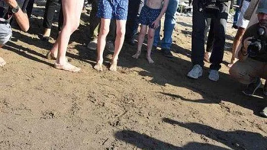 Tedavileri tamamlanan deniz kaplumbağaları denize bırakıldı