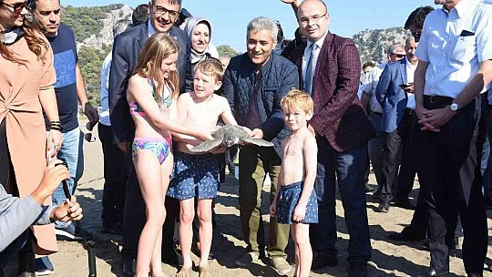 Tedavileri tamamlanan deniz kaplumbağaları denize bırakıldı