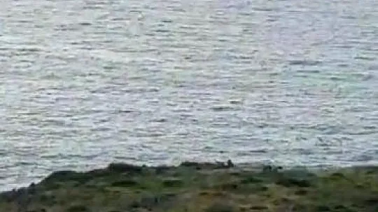 Teknesi ile denize açılan amatör balıkçı kayboldu