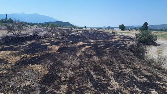 Temizlik ateşi yangına neden oldu