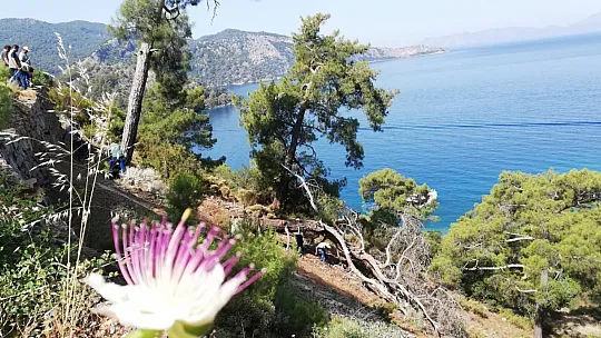 Temizlik çalışması yapıldı