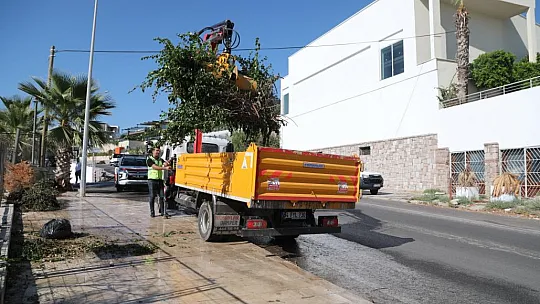 Kapsamlı Temizlik Faaliyeti Gerçekleştirildi