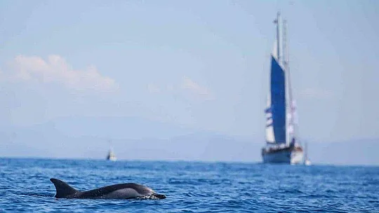 The Bodrum Cup'ta 2 yelkenli çarpıştı