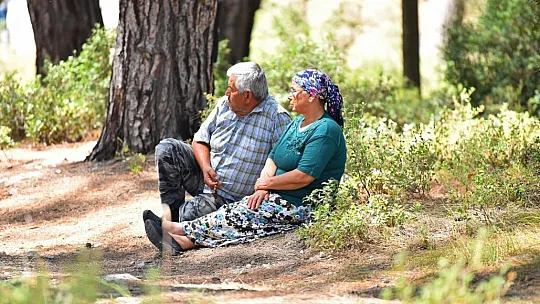 Başkan Alim Karaca, Akbelen'de