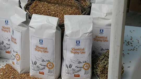 Bütünsel Sağlık Etkinliğine Yoğun Katılım