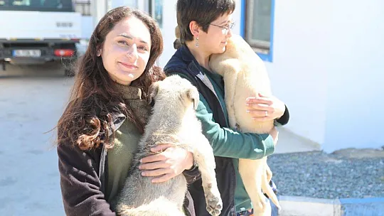 Dünya Veteriner Hekimler Günü Kutlandı