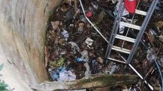 Tilkiyi kurtarmak için seferber oldular