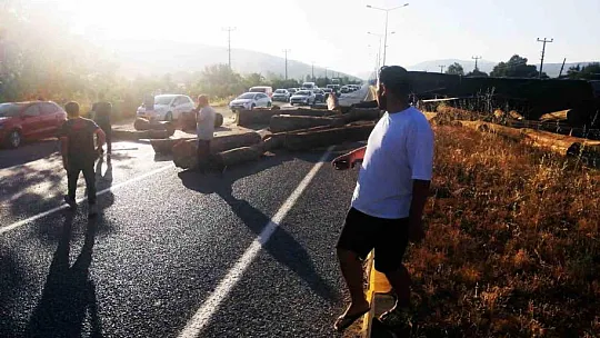 Tomruk yüklü tır devrildi, tomruklar yola saçıldı