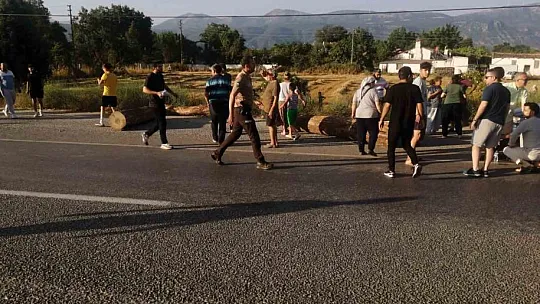 Tomruk yüklü tır devrildi, tomruklar yola saçıldı