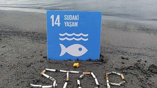 TÜRÇEV Akyaka'da plaj temizliği yaptı