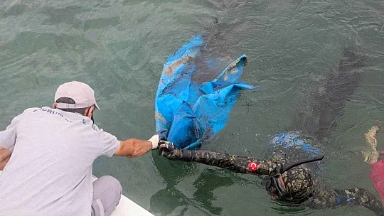 Turgutreis'te sahil ve deniz dibi temizliği