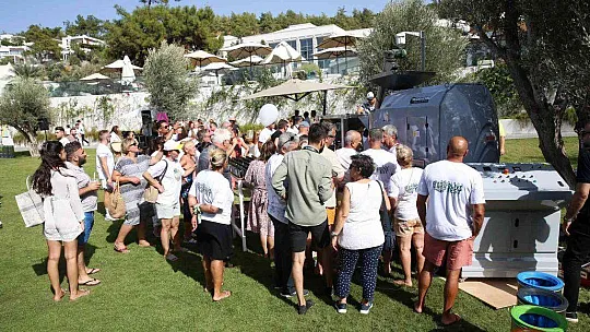 Turistler tatili bırakıp zeytin topladı