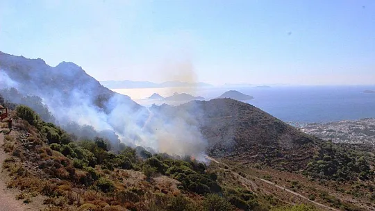 Turizm cenneti alevlere teslim oldu