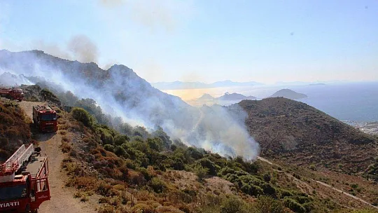 Turizm cenneti alevlere teslim oldu