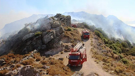 Turizm cenneti alevlere teslim oldu