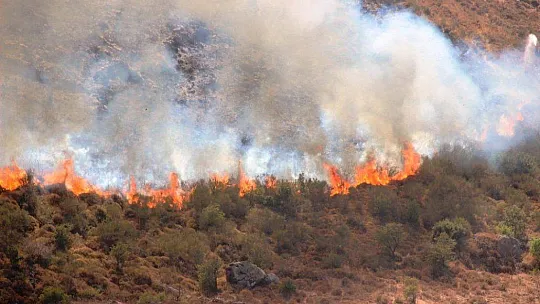 Turizm cenneti alevlere teslim oldu