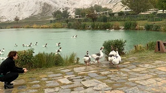 Turizm için Kaplıca araştırması