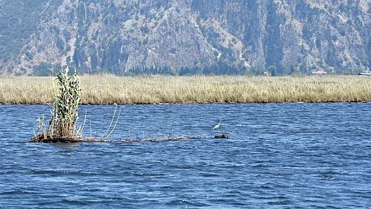 Türkiye'nin en fazla paylaşılan fotoğrafları arasında yer alıyor
