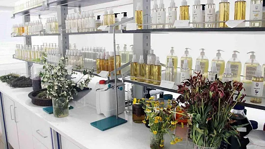 Türkiye'nin ilk tıbbi aromatik bitki dijital kütüphanesi kuruluyor