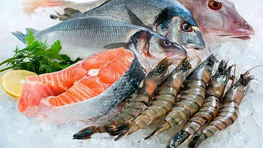 TÜRKİYE'NİN SU ÜRÜNLERİ İHRACATININ ZİRVESİNDE MUĞLA VE İZMİR VAR