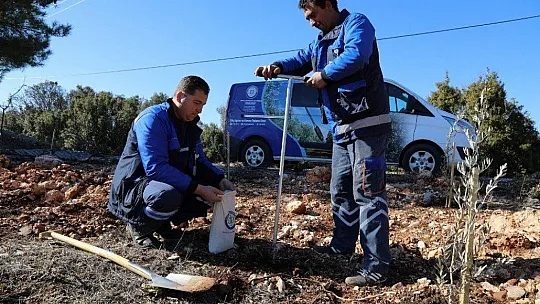 Türkiye'nin tarımına Muğla'dan büyük katkı
