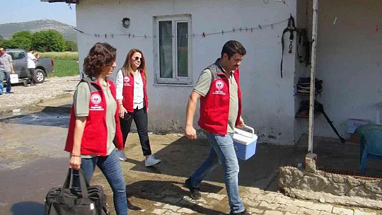 Türkiye'ye örnek proje 'Buzağım Doğdu' ihbar hattı