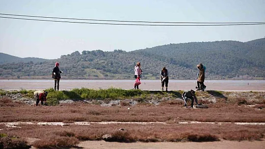 Tuzla Sulak Alanı'ndan 2 saate 33 poşet çöp çıktı