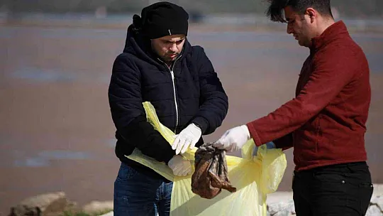 Tuzla Sulak Alanı'ndan 2 saate 33 poşet çöp çıktı