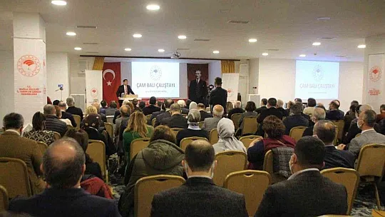 Üç gün sürecek Çam Balı Çalıştayı başladı