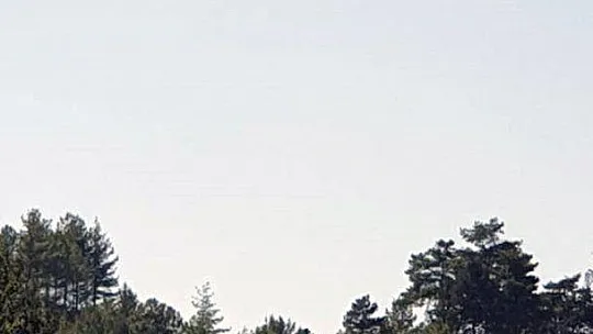 Uçak Göz kayıp kadını aradı