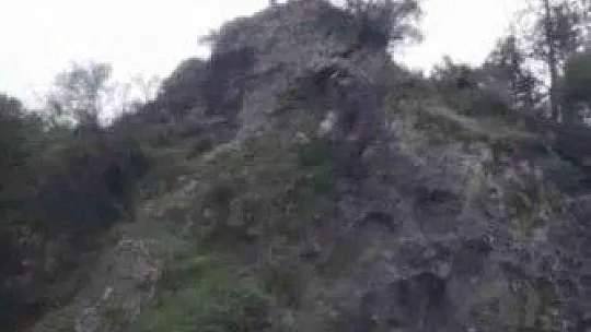 Uçurumda mahsur kalan keçiyi itfaiye kurtardı