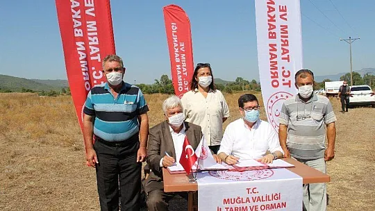 Ula'da 460 dönümlük alan mera olarak hizmet verecek