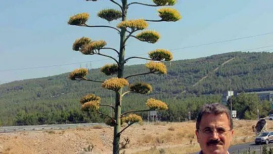 UNESCO DÜNYA KÜLTÜR MİRASI LİSTESİNDE