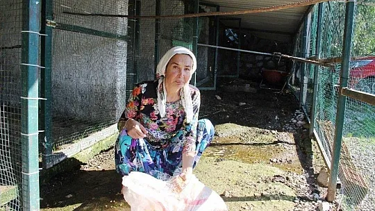 Ünlü manken tüm mal varlığını satıp köye yerleşmişti ağlaya ağlaya köy hayatını bıraktı