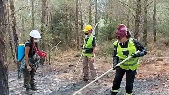 Ünlü oyuncu Mehtap Bayri: 'Ormanları yakanları unutmayalım'