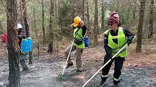 Ünlü oyuncu Mehtap Bayri: 'Ormanları yakanları unutmayalım'