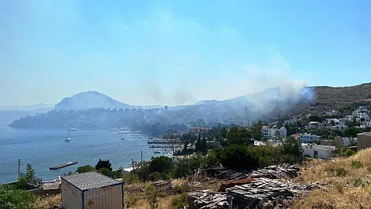 Ünlü tatil beldesi duman altında kaldı