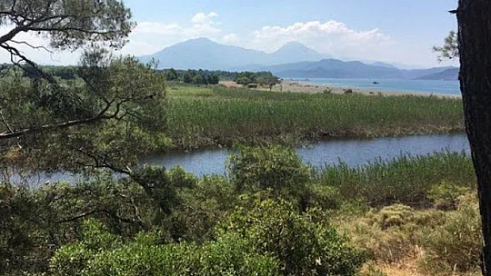 Su samurlarının son yuvası Akgöl Projesi tanıtıldı
