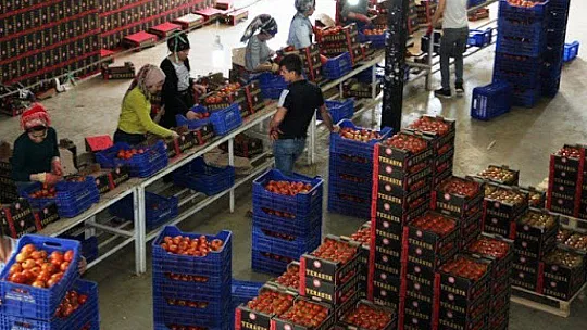 FETHİYE'DEN 34 BİN 437 TON İHRACAT YAPILDI