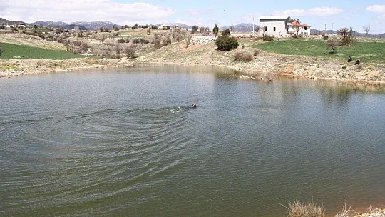 Unuttuğu el freni, eşinin hayatına mal oldu