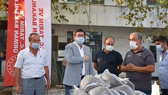 Üreticilere ücretsiz tohum dağıtıldı
