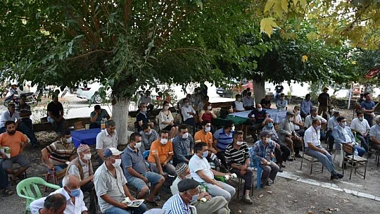 Üreticilere ücretsiz tohum dağıtıldı